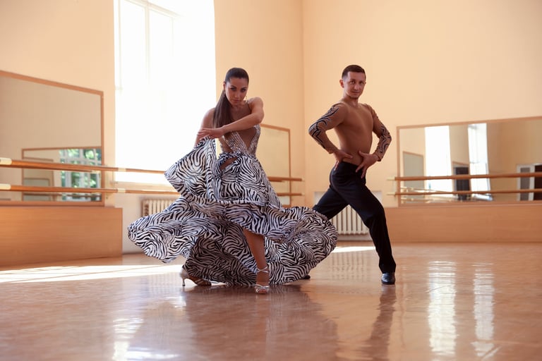 Professional dancers training